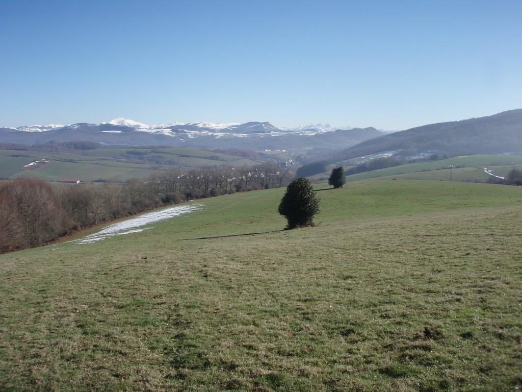 Casa Rural Irugoienea Espinal-Auzperri Kültér fotó