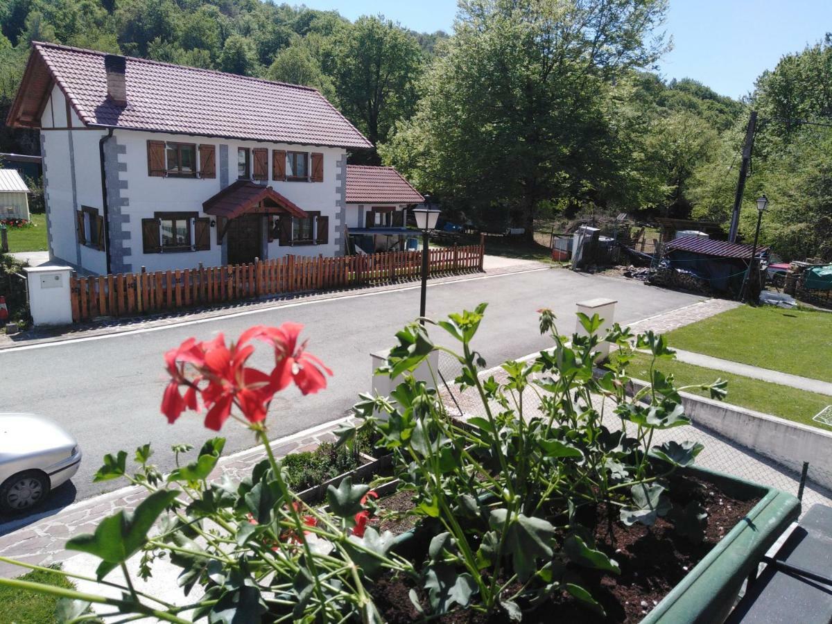 Casa Rural Irugoienea Espinal-Auzperri Kültér fotó